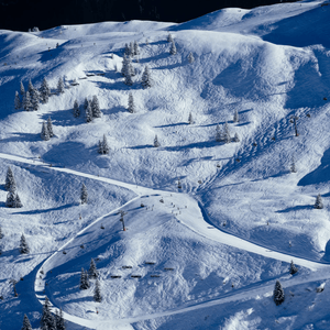 2025 Rome Royal Womens ROME