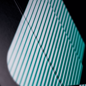 2025 ShinnMark Dalton SHINN