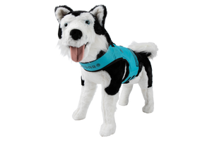 2027 Radar Dog Life Vest - Blue