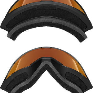 2027 Dakine Venue Snow Goggle
