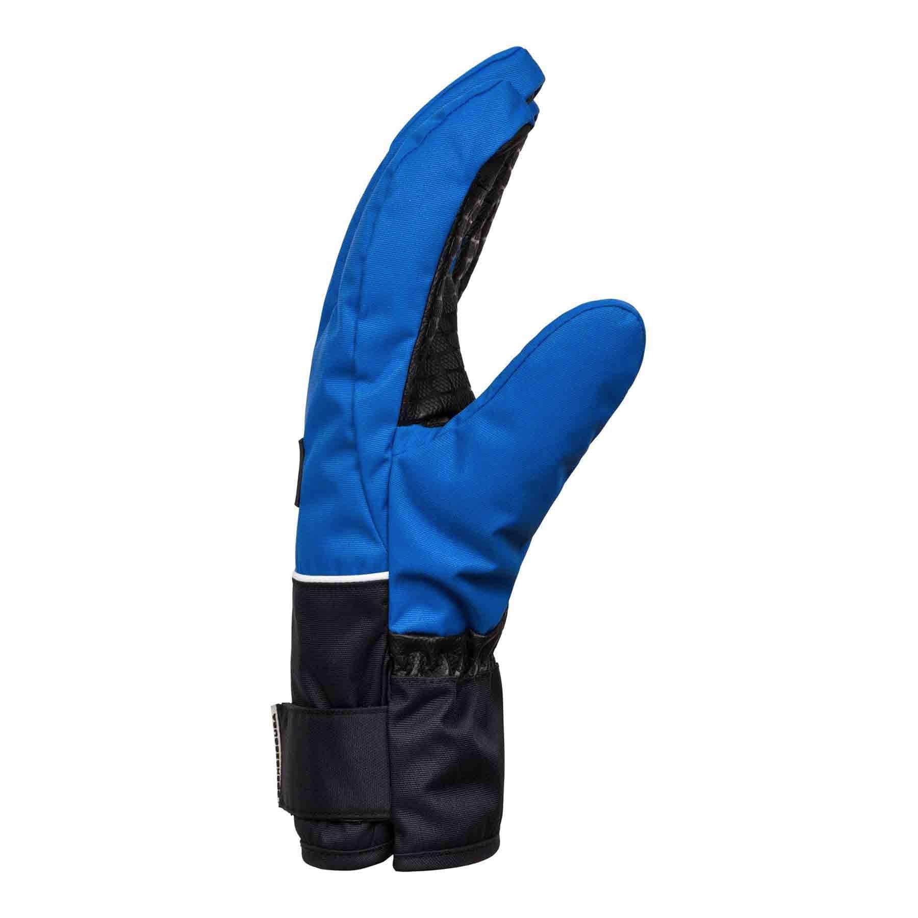 DC Franchise Snowboard/Ski Gloves (Iolite Blue) S2AS