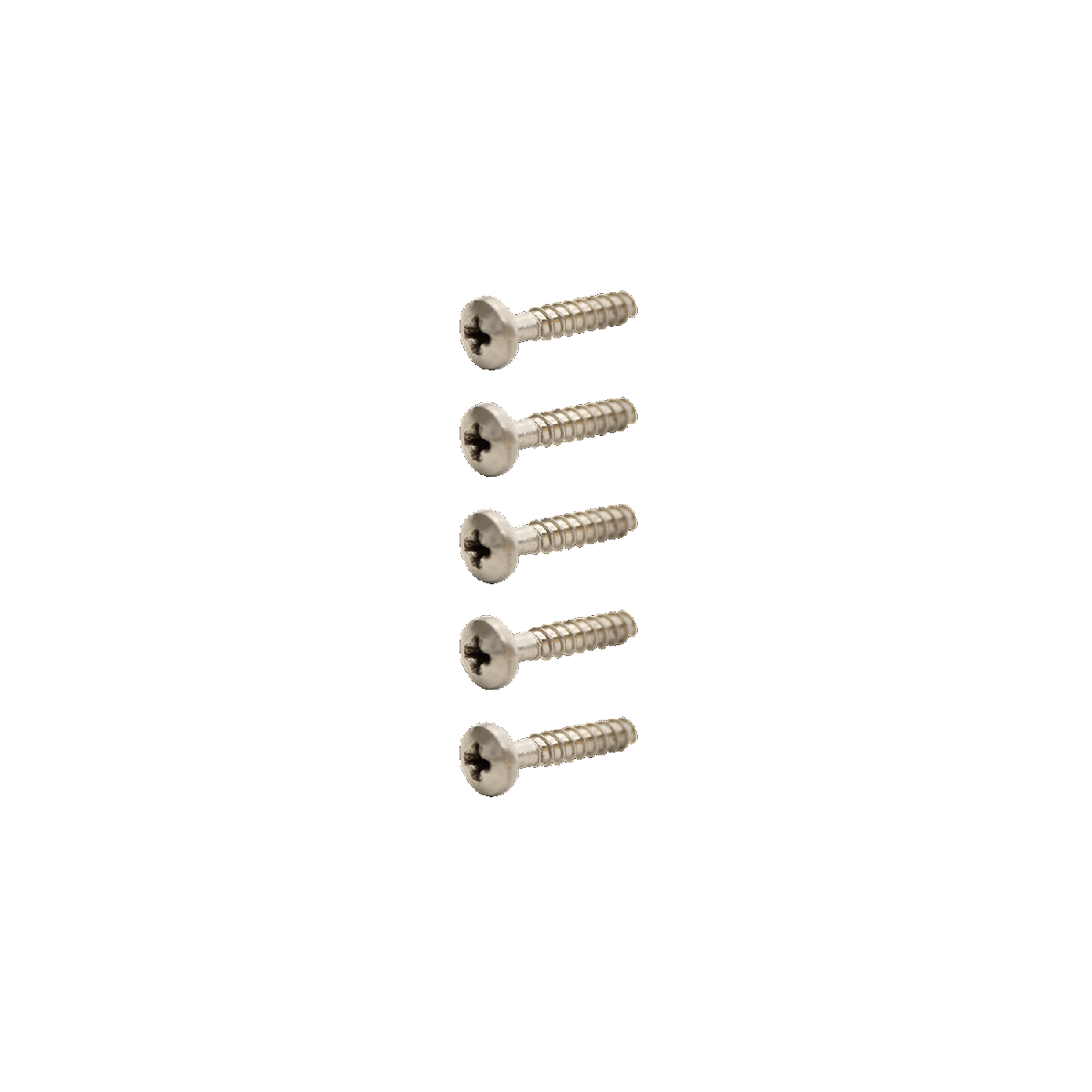 Free Strap Self-Tapping Screws 6.3x25mm set of 5 - 2026 North