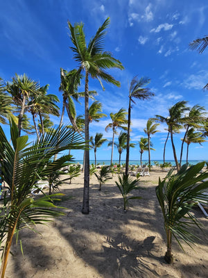 Kitesurf Holiday - Le Morne, Mauritius S2AS