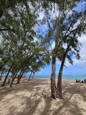 Kitesurf Holiday - Le Morne, Mauritius S2AS