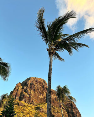 Kitesurf Holiday - Le Morne, Mauritius S2AS