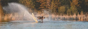 O'Brien DZ Wood Core Park Wakeboard O'Brien