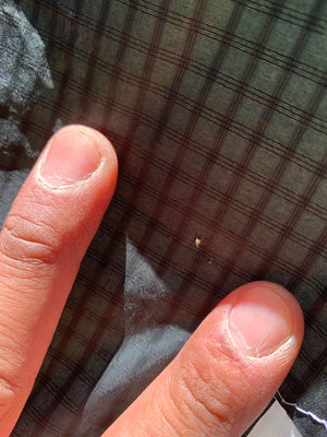 Used Core XR7 6m S2AS