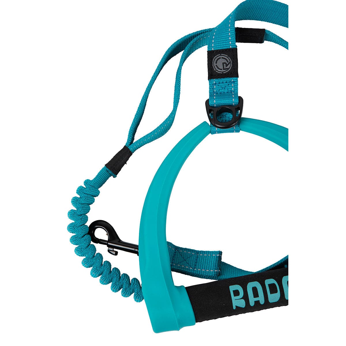 5 ft. Bungee Dog Leash - Blue - 2026 Radar