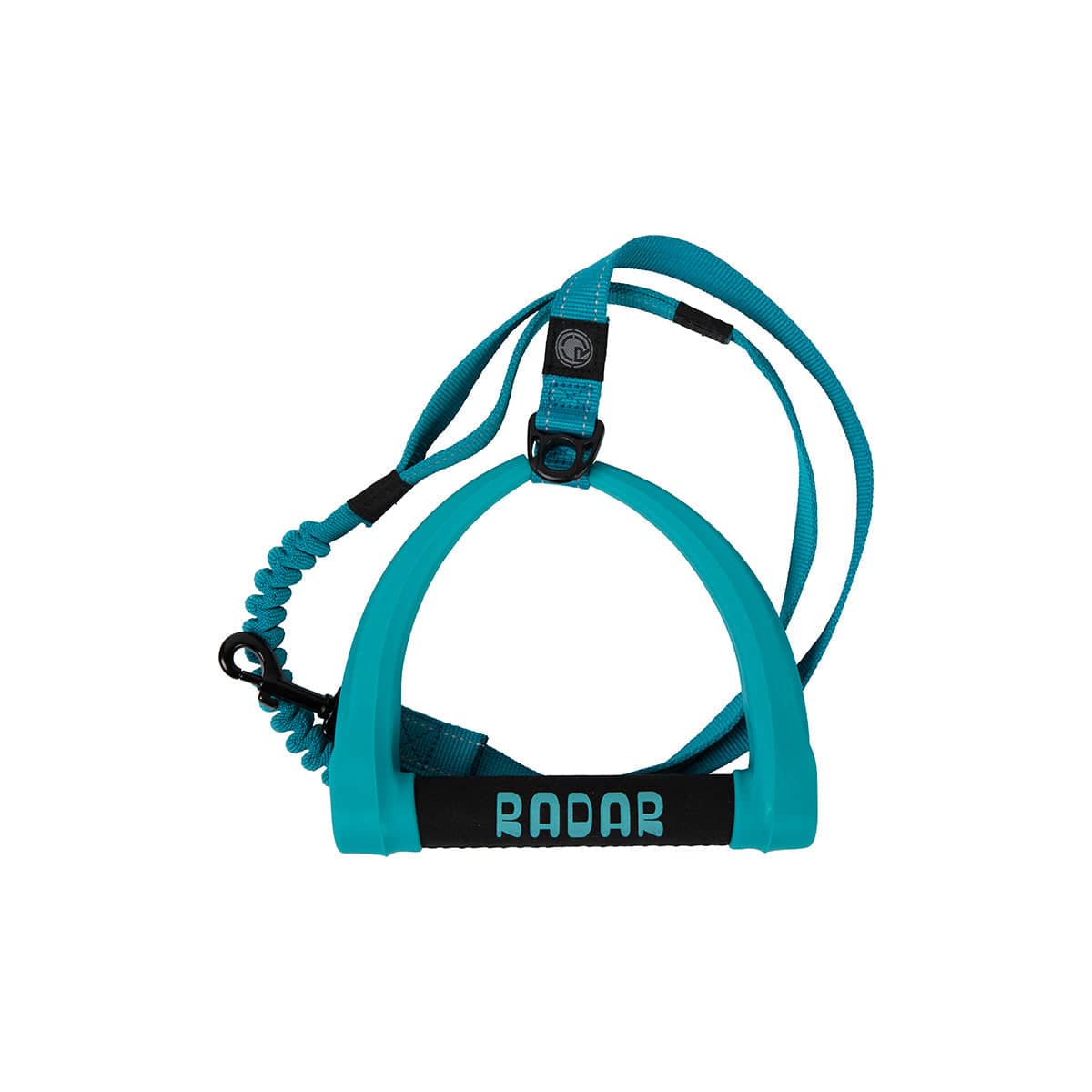 5 ft. Bungee Dog Leash - Blue - 2026 Radar