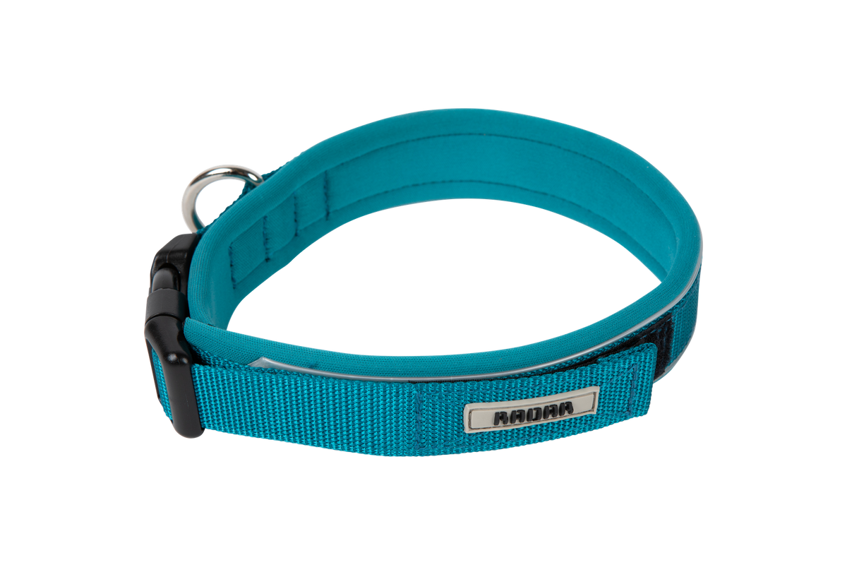 2027 Radar Dog Collar - Blue