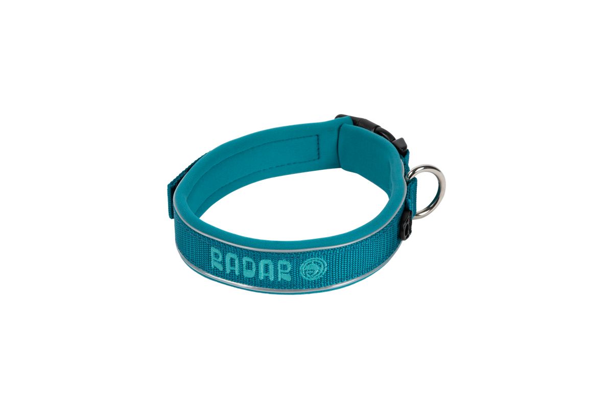 2027 Radar Dog Collar - Blue