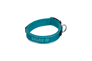2027 Radar Dog Collar - Blue