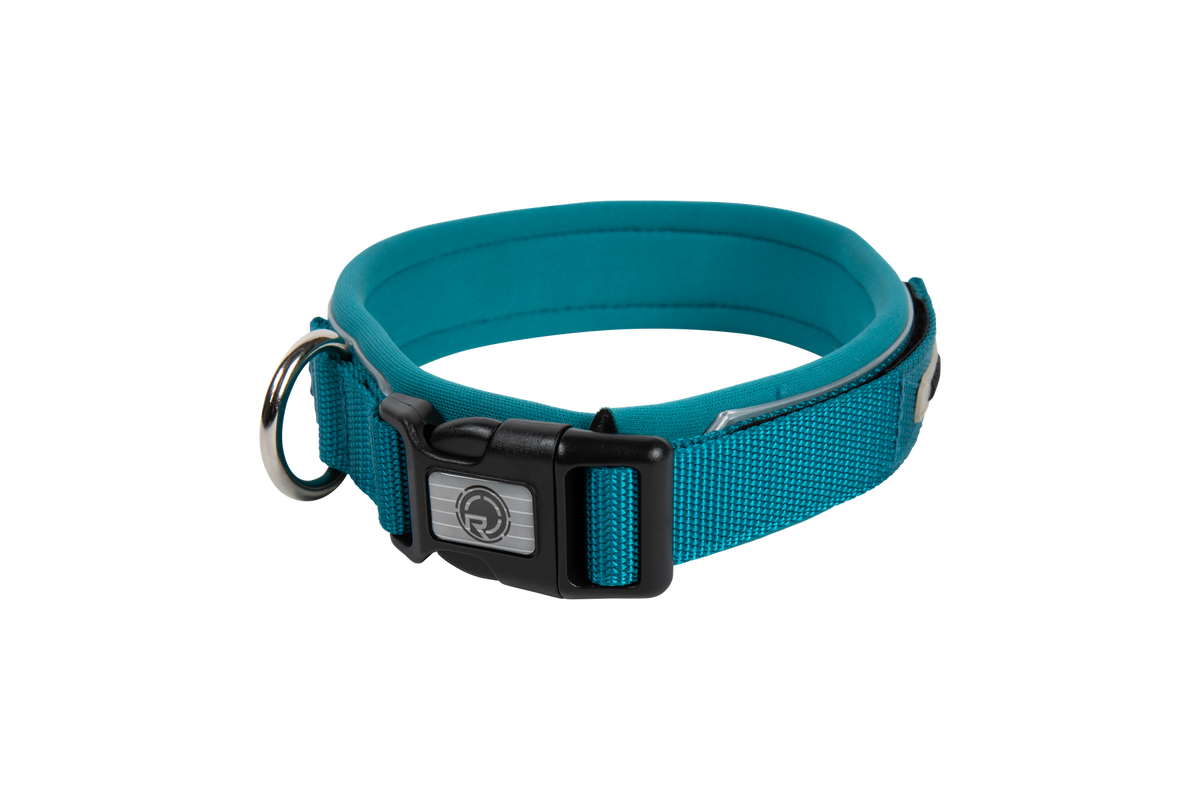 2027 Radar Dog Collar - Blue