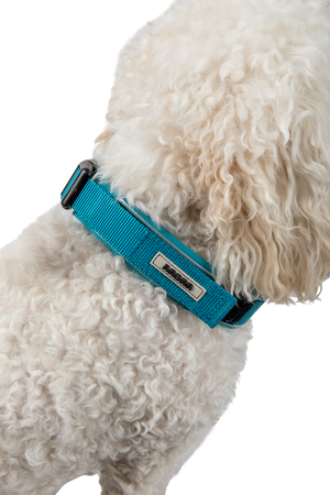 2027 Radar Dog Collar - Blue