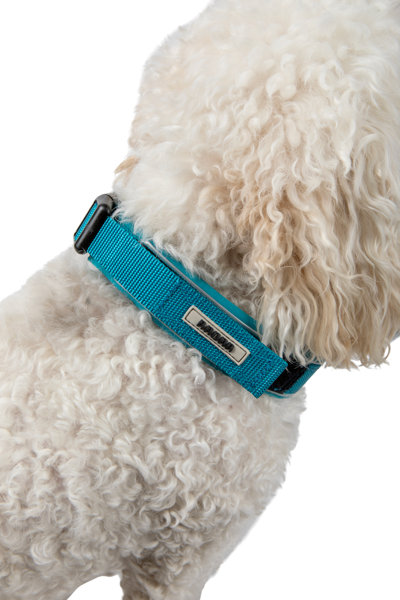 2027 Radar Dog Collar - Blue