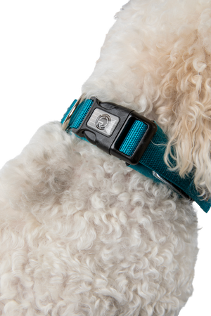 2027 Radar Dog Collar - Blue