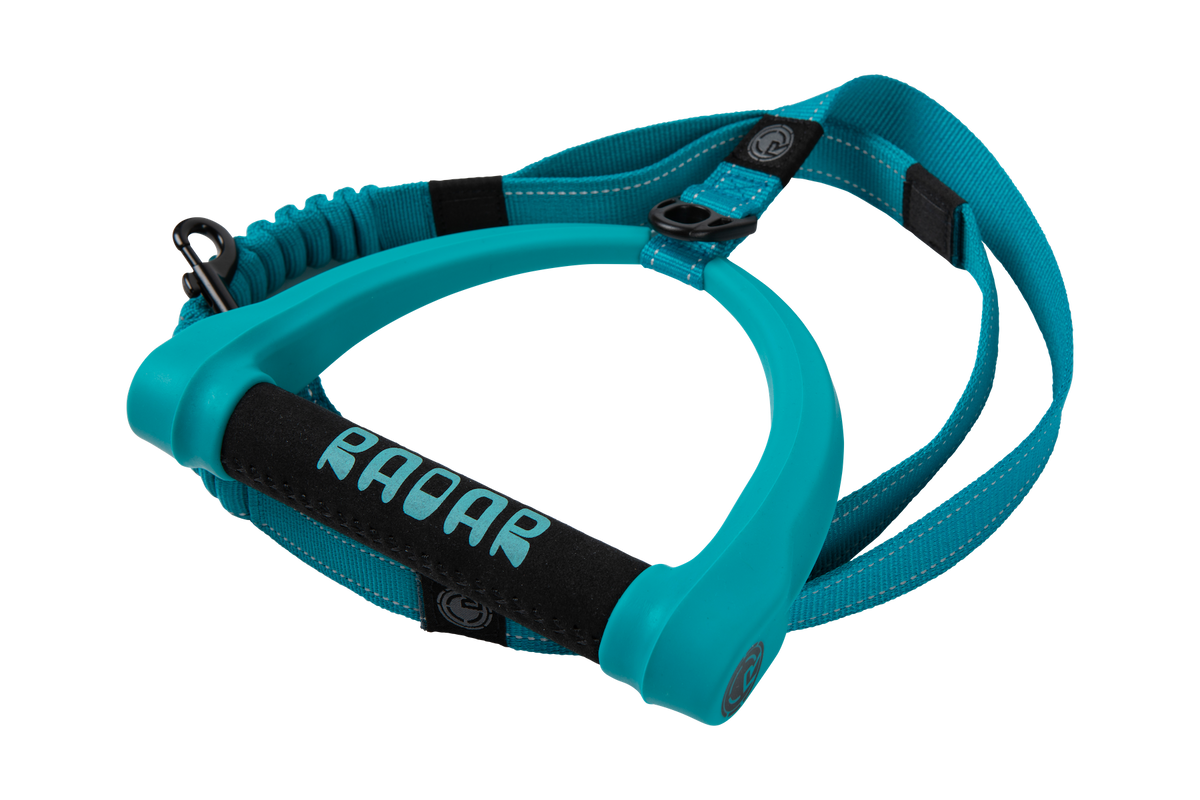 2027 Radar 5ft Bungee Dog Leash - Blue