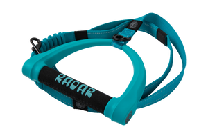2027 Radar 5ft Bungee Dog Leash - Blue