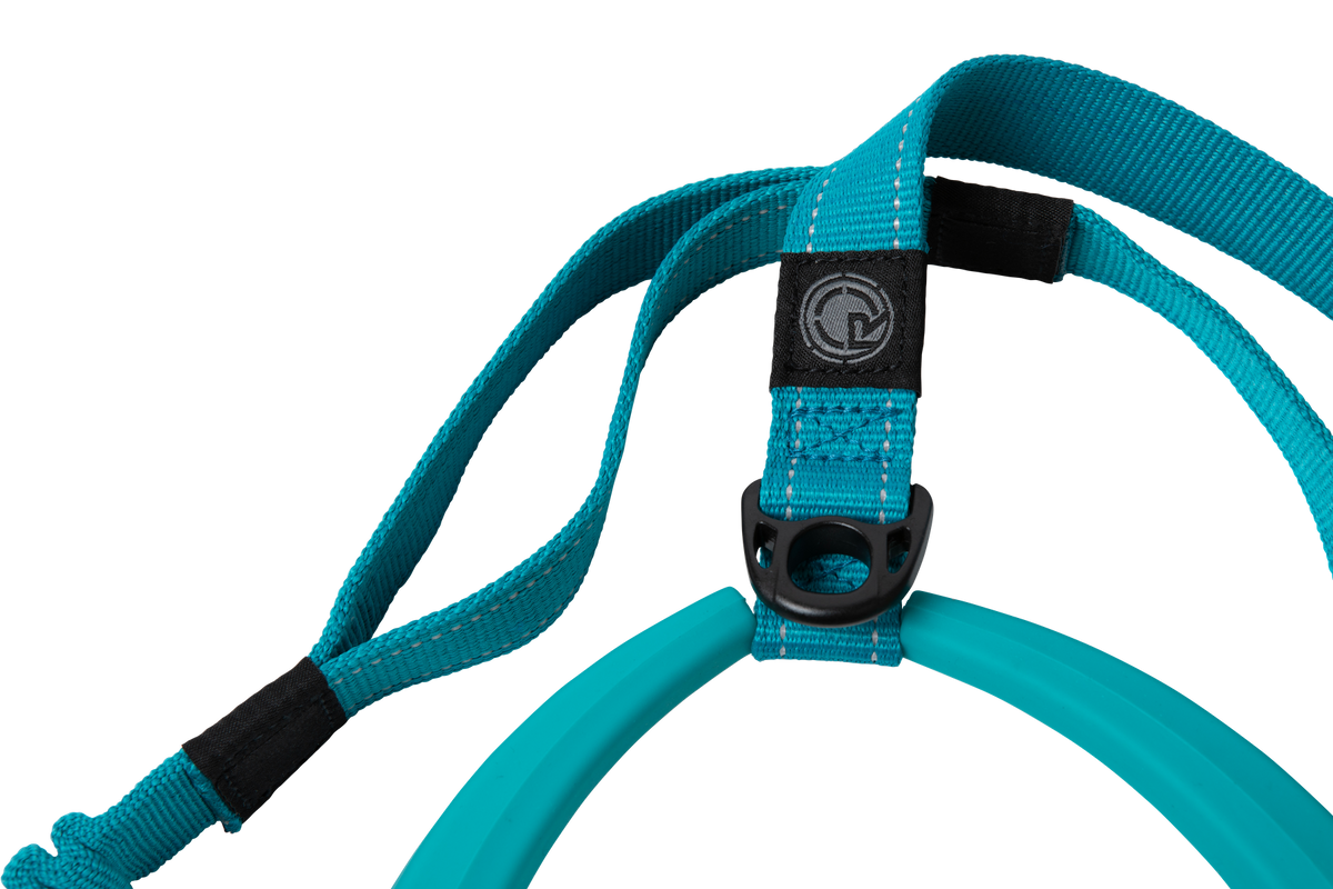 2027 Radar 5ft Bungee Dog Leash - Blue