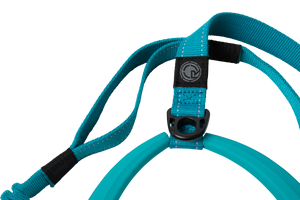 2027 Radar 5ft Bungee Dog Leash - Blue