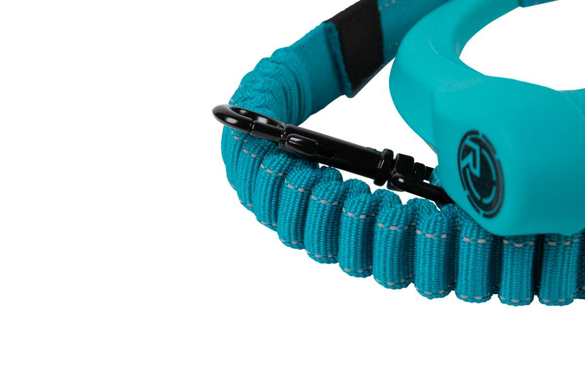 2027 Radar 5ft Bungee Dog Leash - Blue
