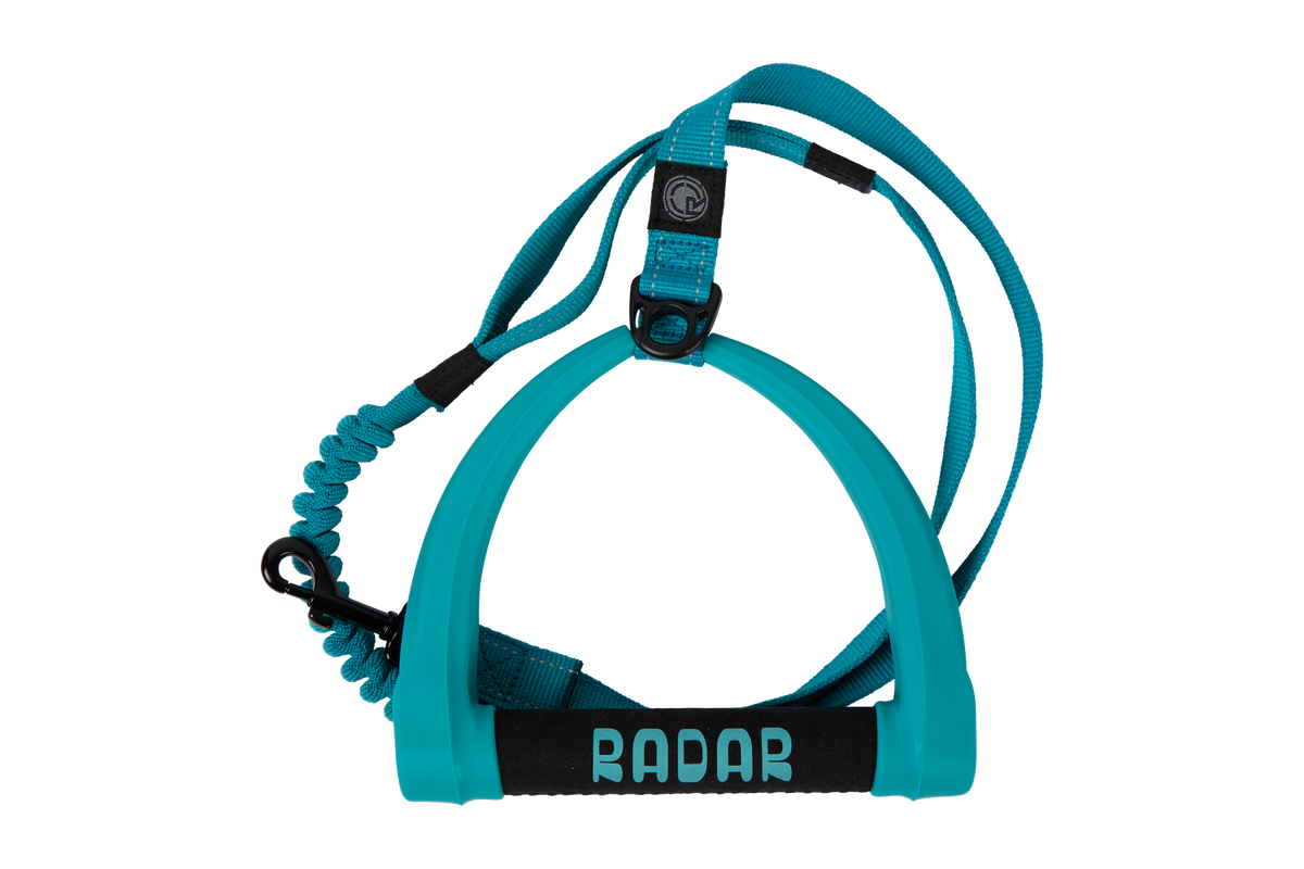2027 Radar 5ft Bungee Dog Leash - Blue