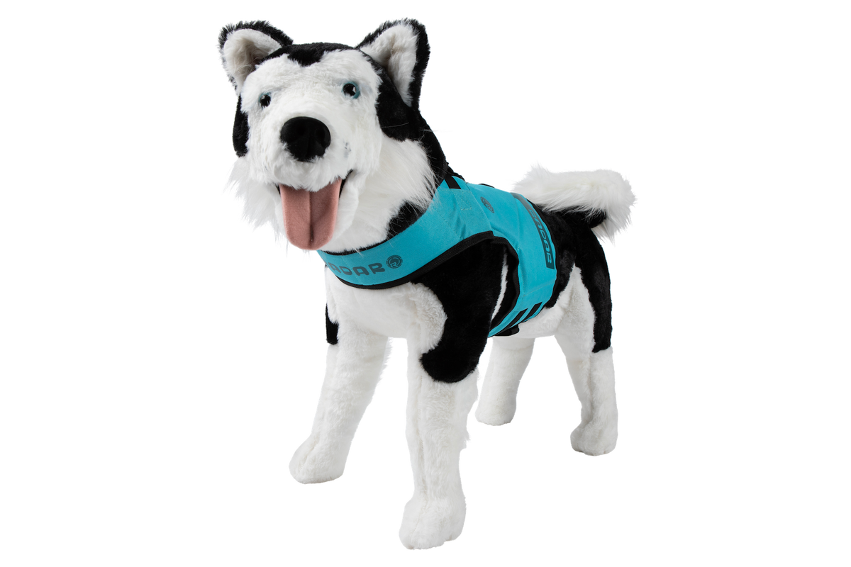 2027 Radar Dog Life Vest - Blue