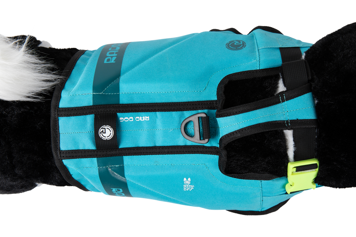 2027 Radar Dog Life Vest - Blue