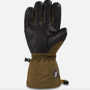 Dakine Team Phoenix Gore-Tex Glove S2AS