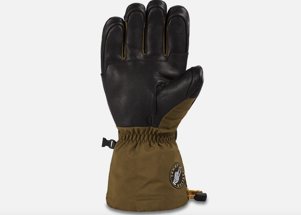 Dakine Team Phoenix Gore-Tex Glove S2AS