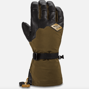 Dakine Team Phoenix Gore-Tex Glove S2AS