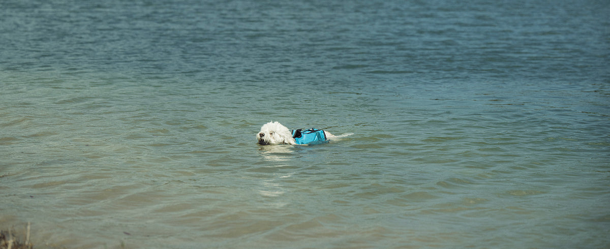 2027 Radar Dog Life Vest - Blue