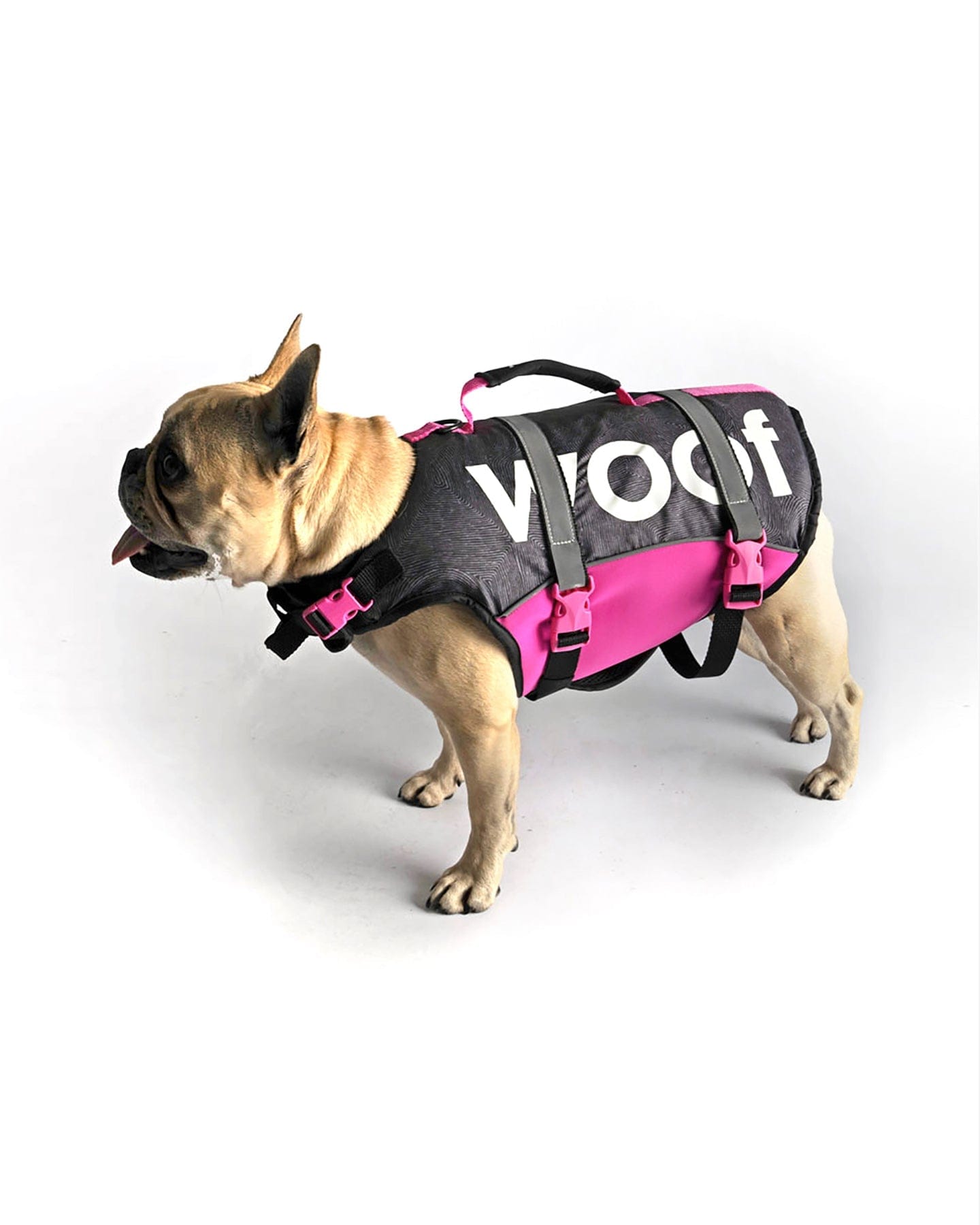 Follow Dog Floating Aid - Pink Follow