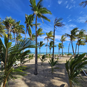 Kitesurf Holiday - Le Morne, Mauritius S2AS