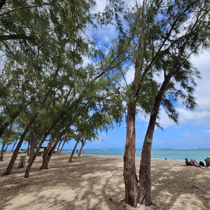 Kitesurf Holiday - Le Morne, Mauritius S2AS