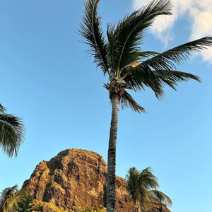 Kitesurf Holiday - Le Morne, Mauritius S2AS