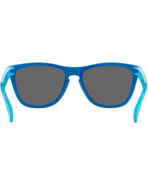 Oakley Frogskins Sunglasses (Hi Res Blue with Prizm Black) S2AS