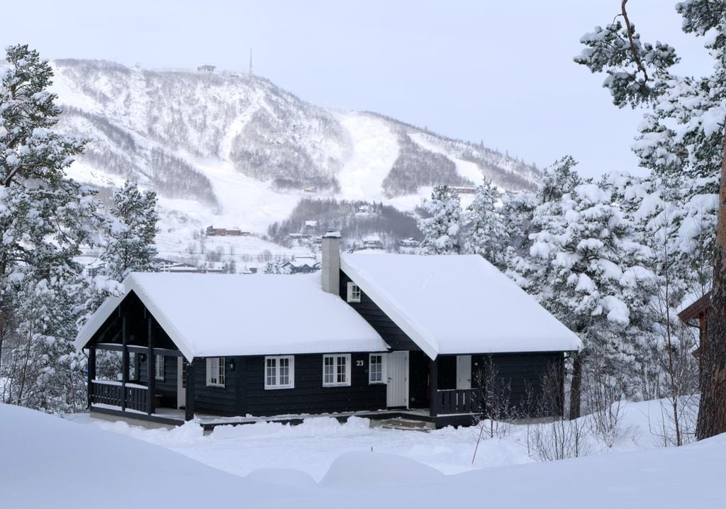 Snow Kite Holiday - Geilo, Norway S2AS