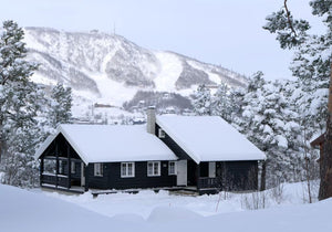 Snow Kite Holiday - Geilo, Norway S2AS